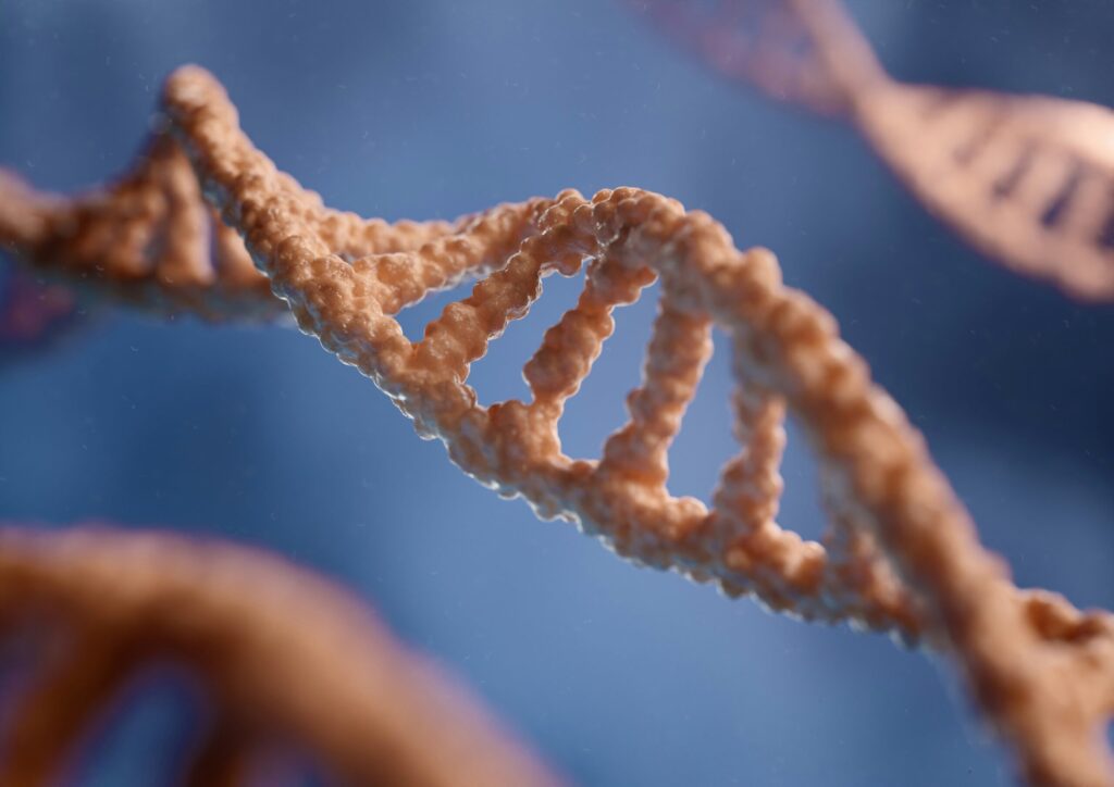 Dna