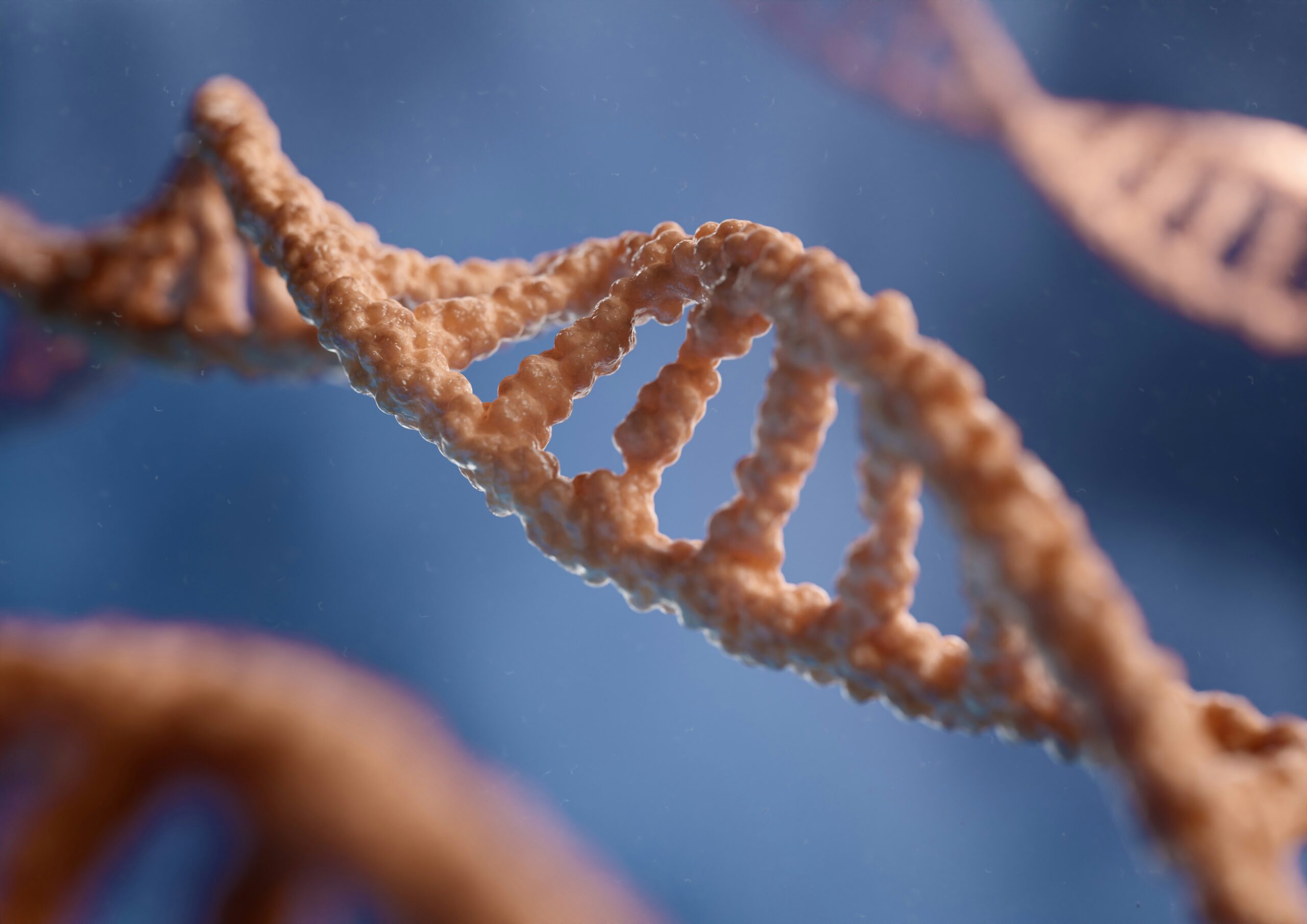Dna
